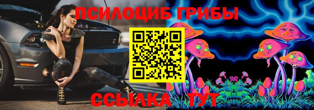 Галлюциногенные грибы Cubensis  Псилоцибиновые грибы мицелий  Вход с VPN  Серпухов 