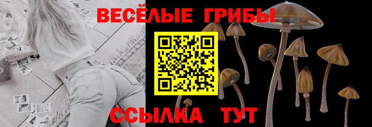 Псилоцибиновые грибы GOLDEN TEACHER Серпухов